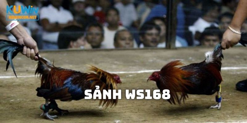 WS168